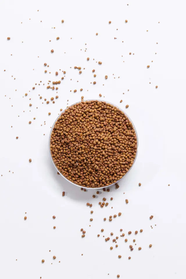 10X Precision Weight Management Supplements